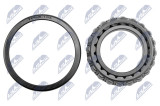 NTY WHEEL BEARING KIT REAR NISSAN CABSTAR