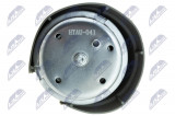 NTY ENGINE MOUNT HYDRO AUDI A4 (8E) 2000 - 2008 2.0 20V - 96 KW/131 HP / RIGHT /