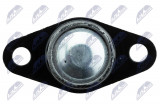 NTY ARM BALL JOINT BMW 5 E60/61 01-10 /FRONT, LOWER L=P/