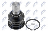 NTY ARM BALL JOINT NISSAN ARMADA 03-, INFINITI QX56 03- /REAR LOWER/
