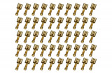 FASTIN-FASTON push-on contact brass blank 0,5 - 1,5 mm² Quantity: 50 pieces