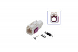 FAKRA socket - female Plug: Coding B / cream white
