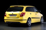 56204 Rear Bumper Diffuser Škoda Fabia 2 Combi